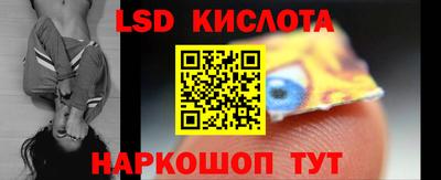 СК Новодвинск