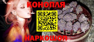 СК Новодвинск