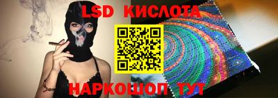 СК Новодвинск
