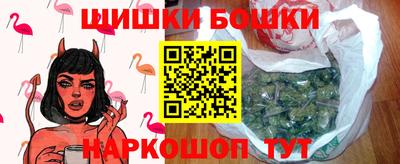 СК Новодвинск