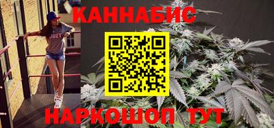 гашик Новокубанск
