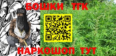СК Новодвинск