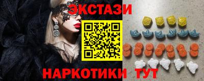 СК Новодвинск