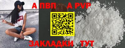СК Новодвинск