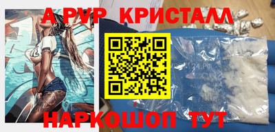 СК Новодвинск