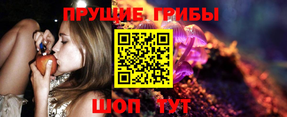 Псилоцибиновые грибы Psilocybine cubensis Альметьевск