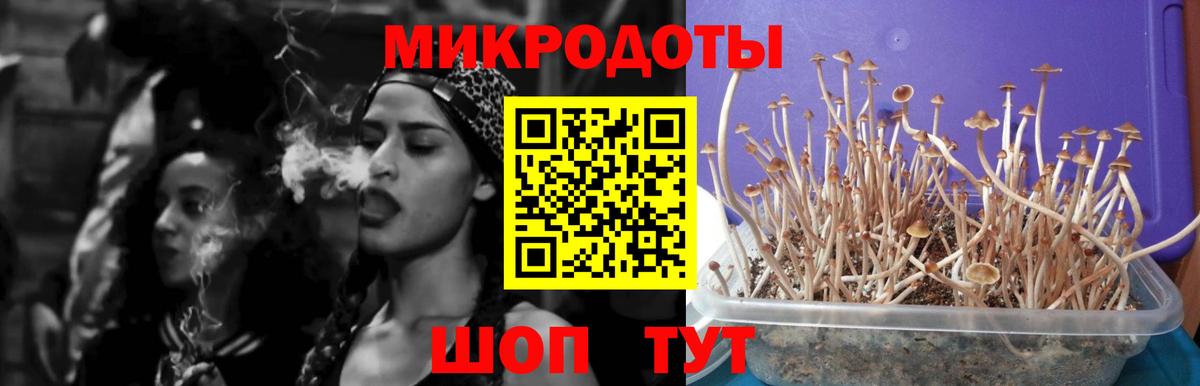 дарнет шоп  Псилоцибиновые грибы Cubensis  Псилоцибиновые грибы Psilocybine cubensis  Вход с VPN  Альметьевск 
